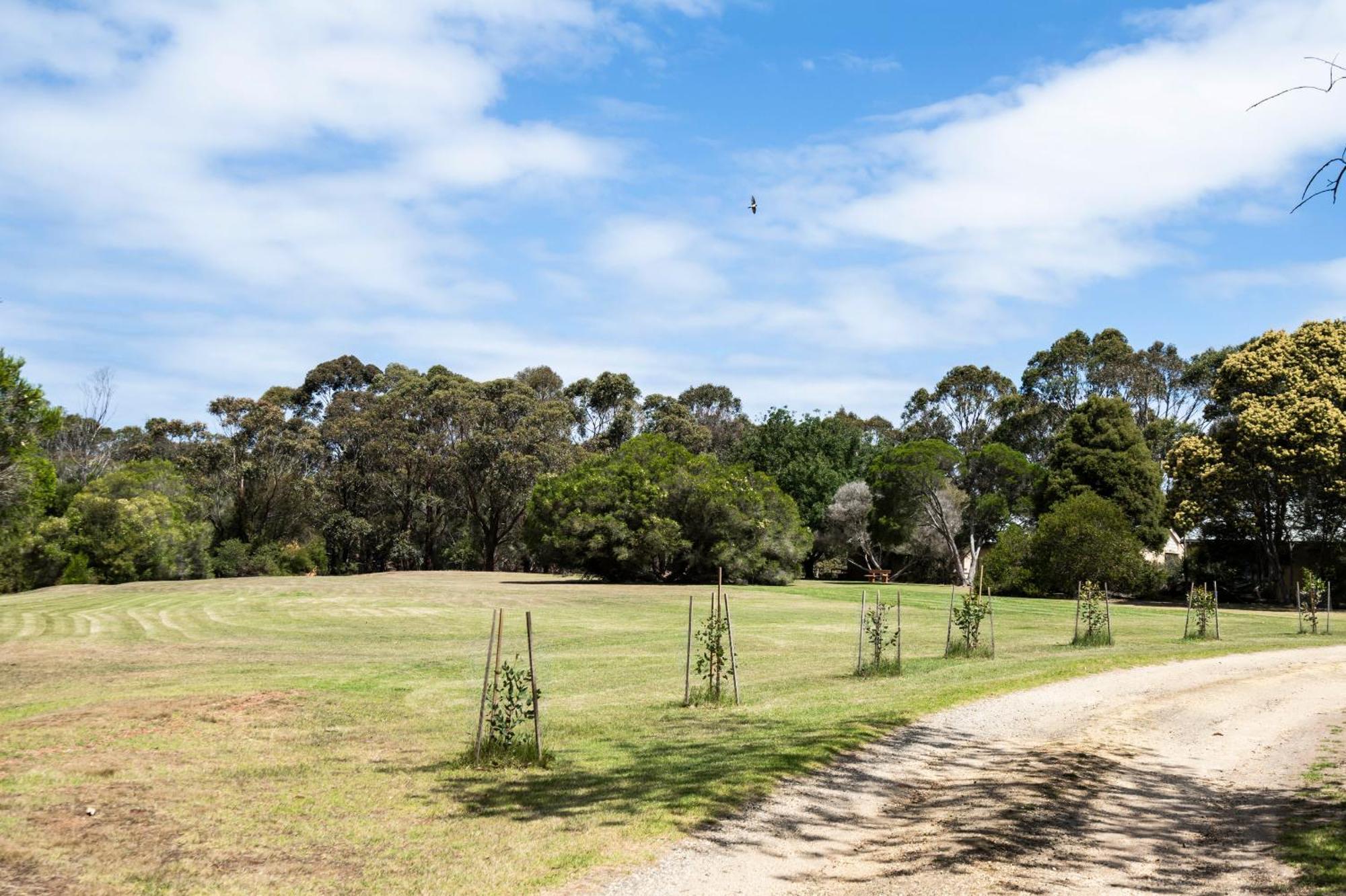 Bells Beach Cottages Bellbrae Exteriör bild