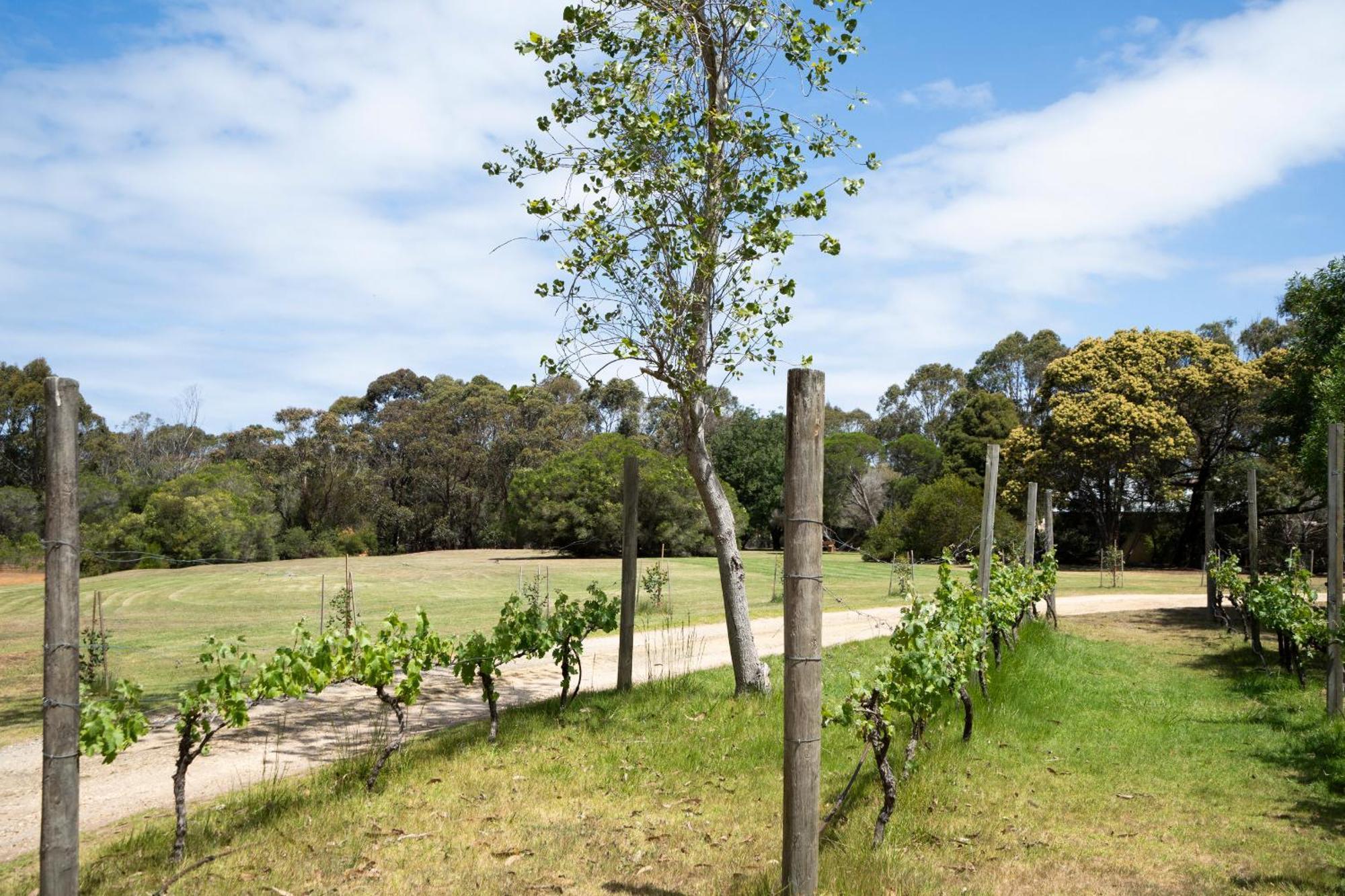 Bells Beach Cottages Bellbrae Exteriör bild